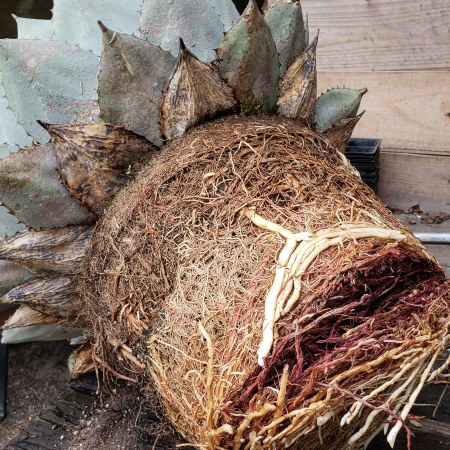 IMG_20180503_164758_672